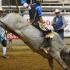TN HS Rodeo State Finals